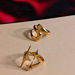 Anti Tarnish Adjustable Rings Combo (Pack of 2)