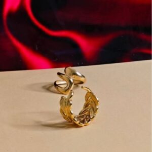 Anti Tarnish Adjustable Rings Combo (Pack of 2)